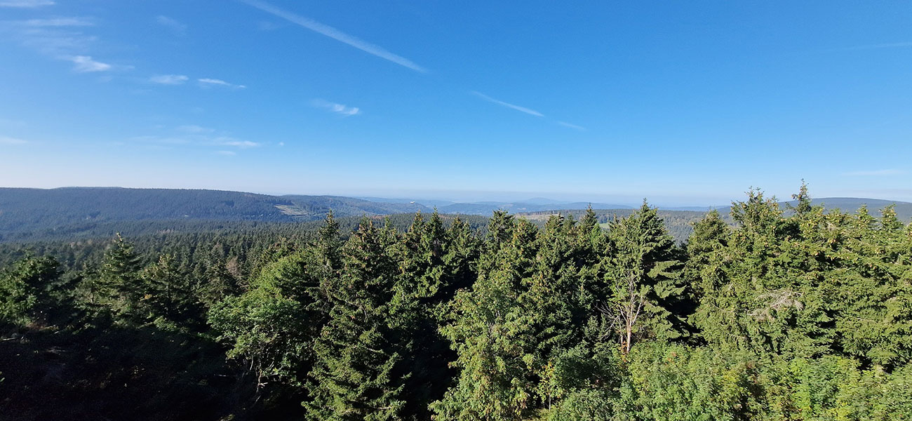 Gipfelwanderweg Goldlauter-Heidersbach (Christian Lange)