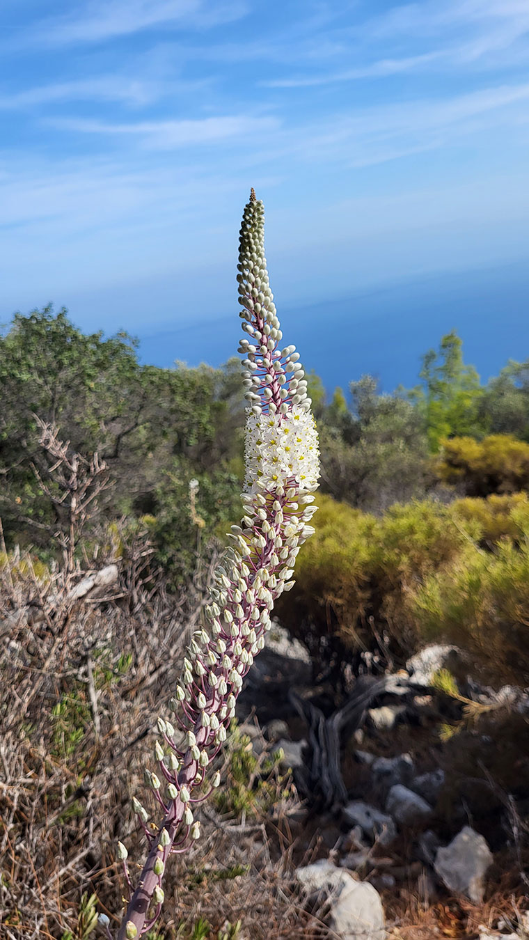 Türkei 2023: Lykischer Weg (Marion Pestel)