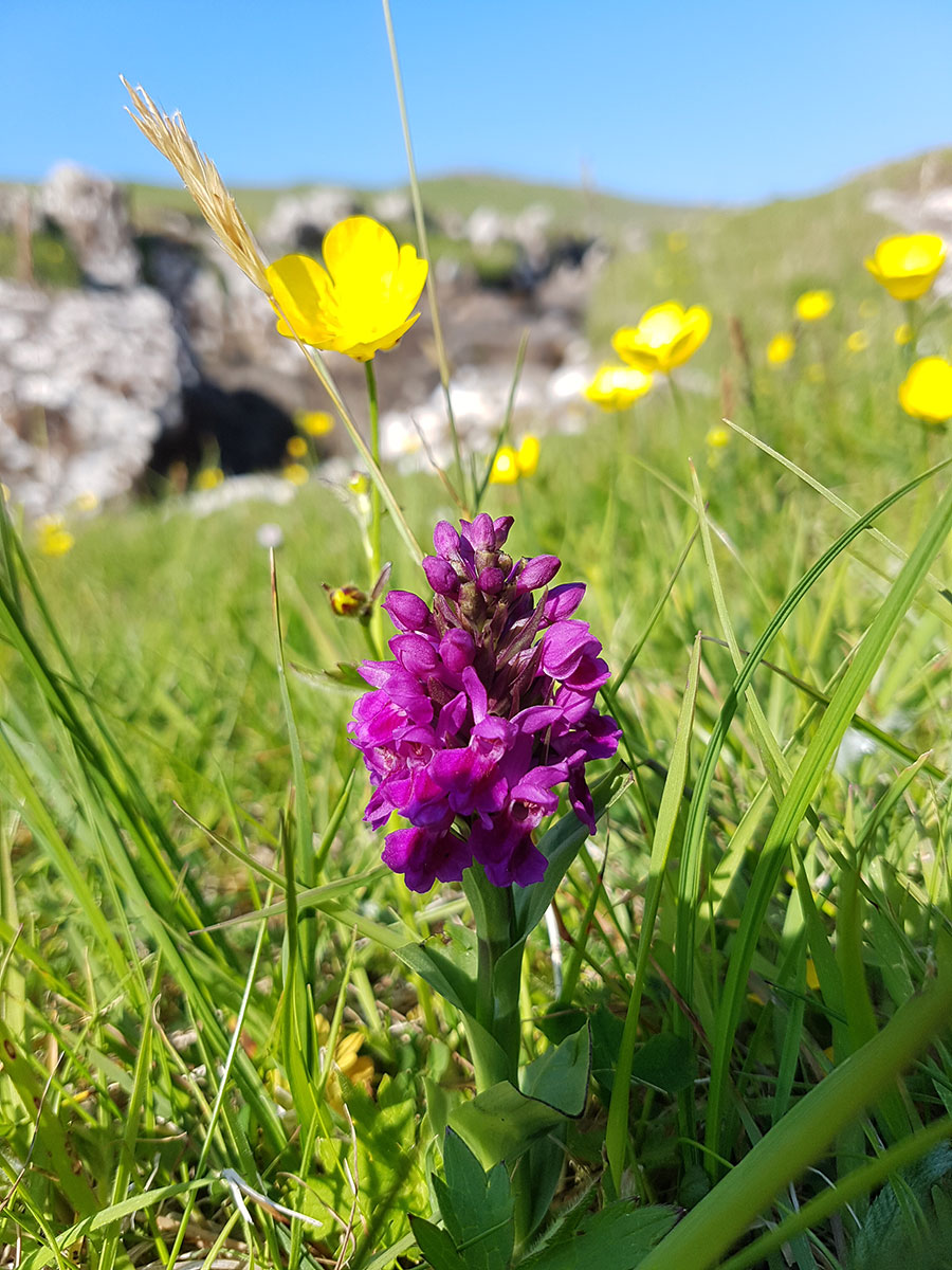 Färöer 2023 (Skadi + Matthias Michalowski)