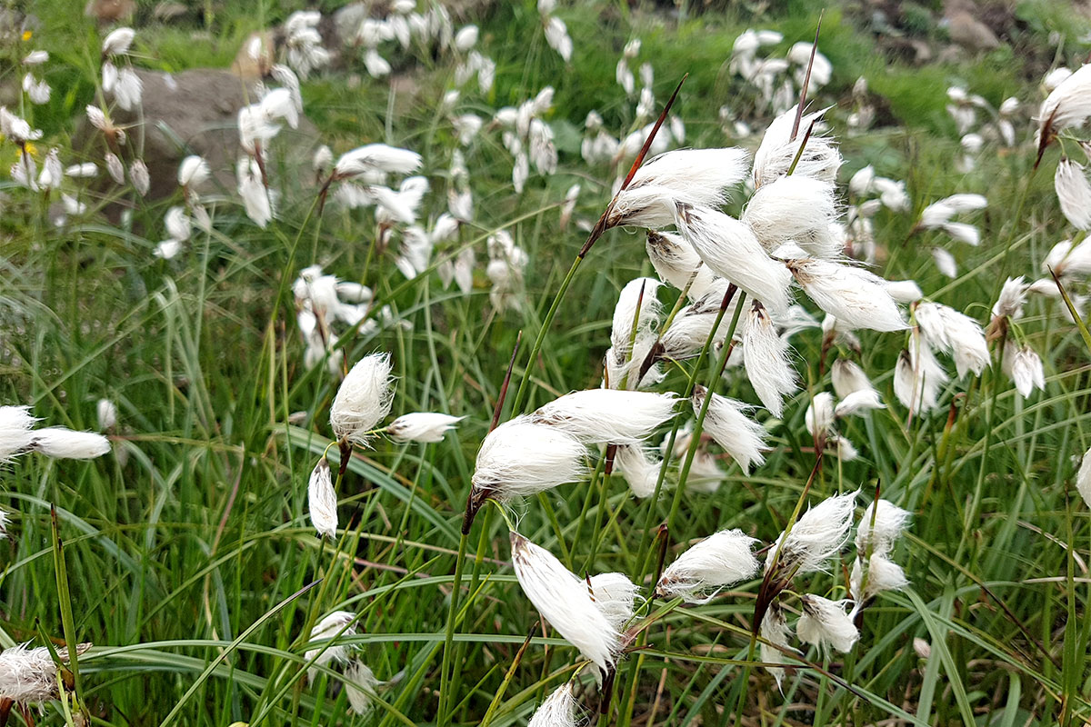 Färöer 2023 (Skadi + Matthias Michalowski)