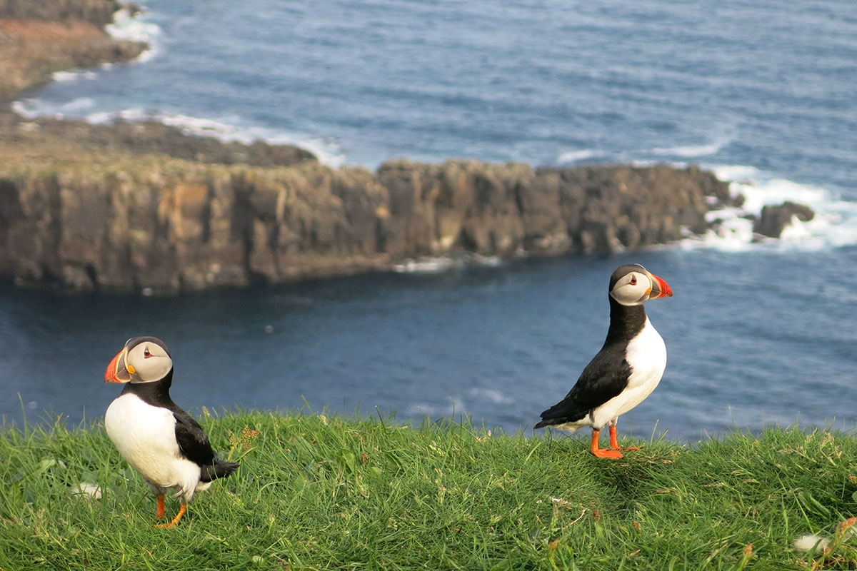 Färöer 2023 (Skadi + Matthias Michalowski)