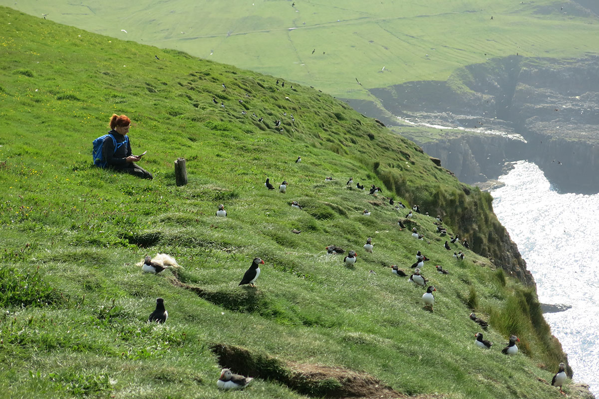 Färöer 2023 (Skadi + Matthias Michalowski)