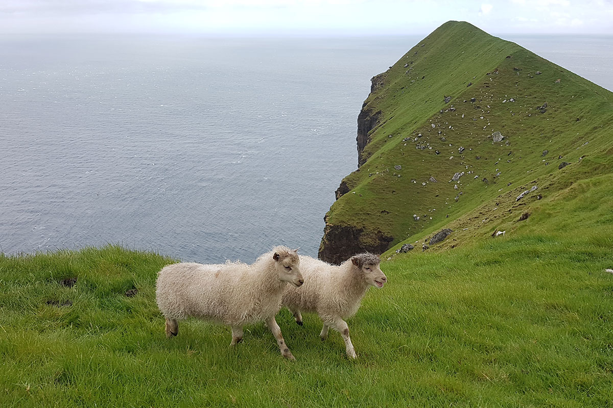 Färöer 2023 (Skadi + Matthias Michalowski)