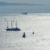 Friaul 2023: Bucht von Triest: Segelyacht SY A (Manuela Hahnebach)