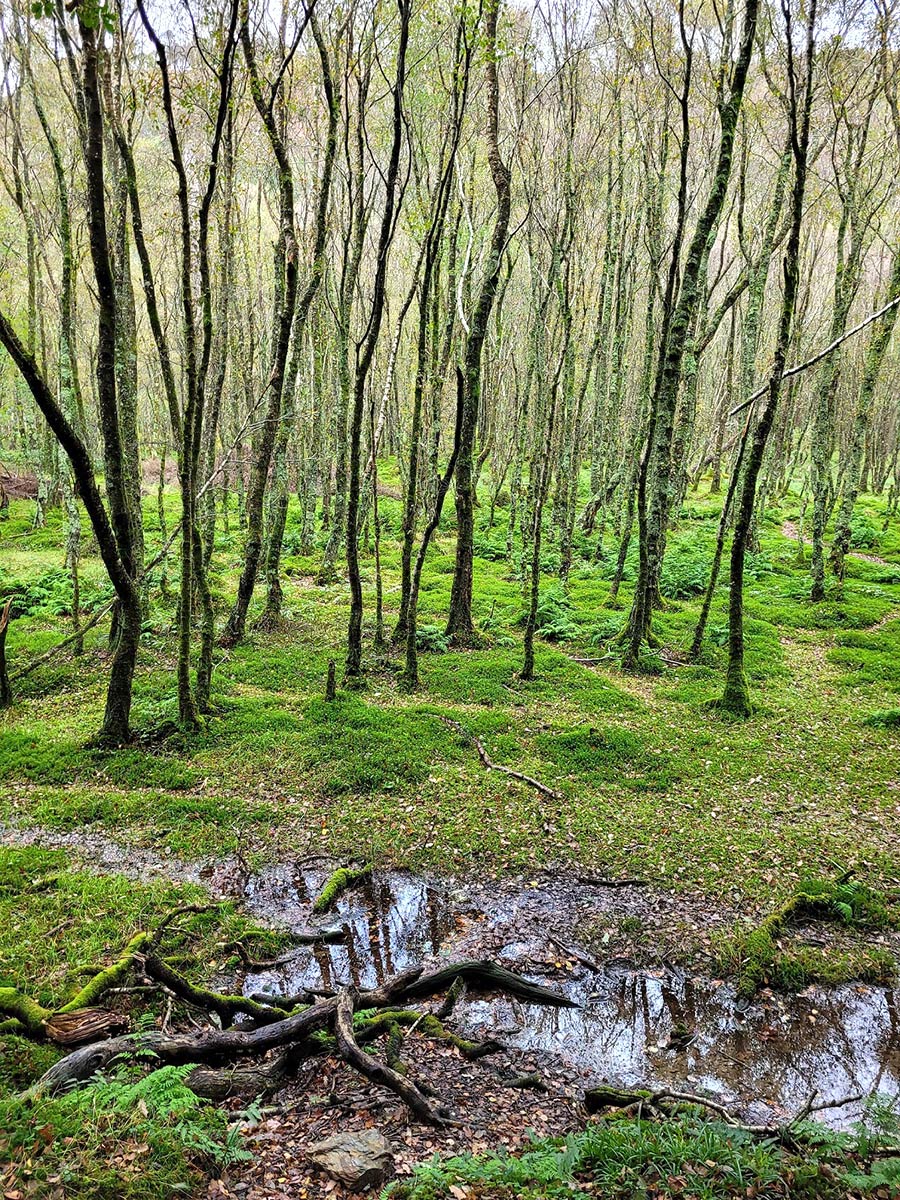 Irland 2023: Wicklow Mountains: Glendelough (Ina Ehrhardt)