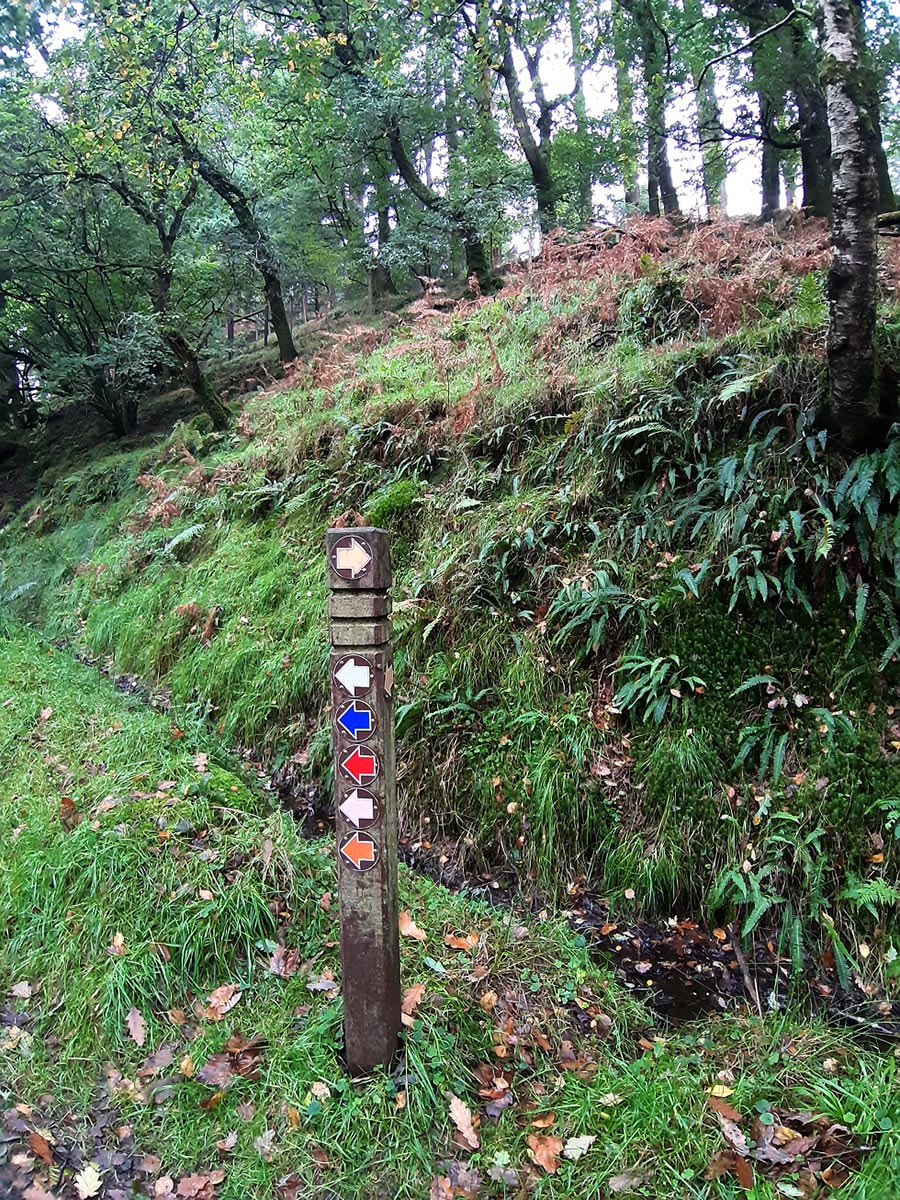 Irland 2023: Wicklow Mountains: Glendelough (Ina Ehrhardt)