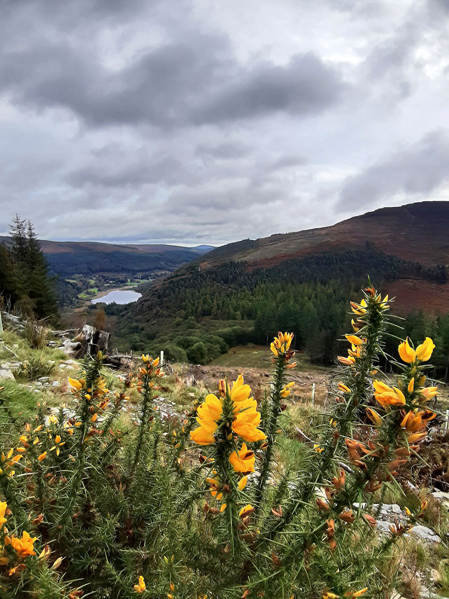 Irland 2023: Wicklow Mountains: Glendelough (Ina Ehrhardt)