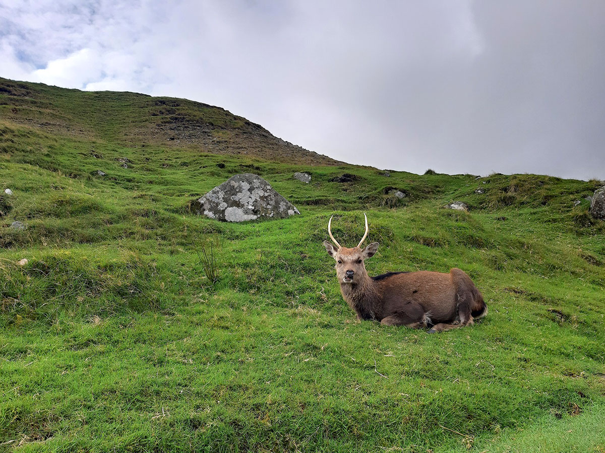 Irland 2023: Wicklow Mountains: Glendelough (Ina Ehrhardt)