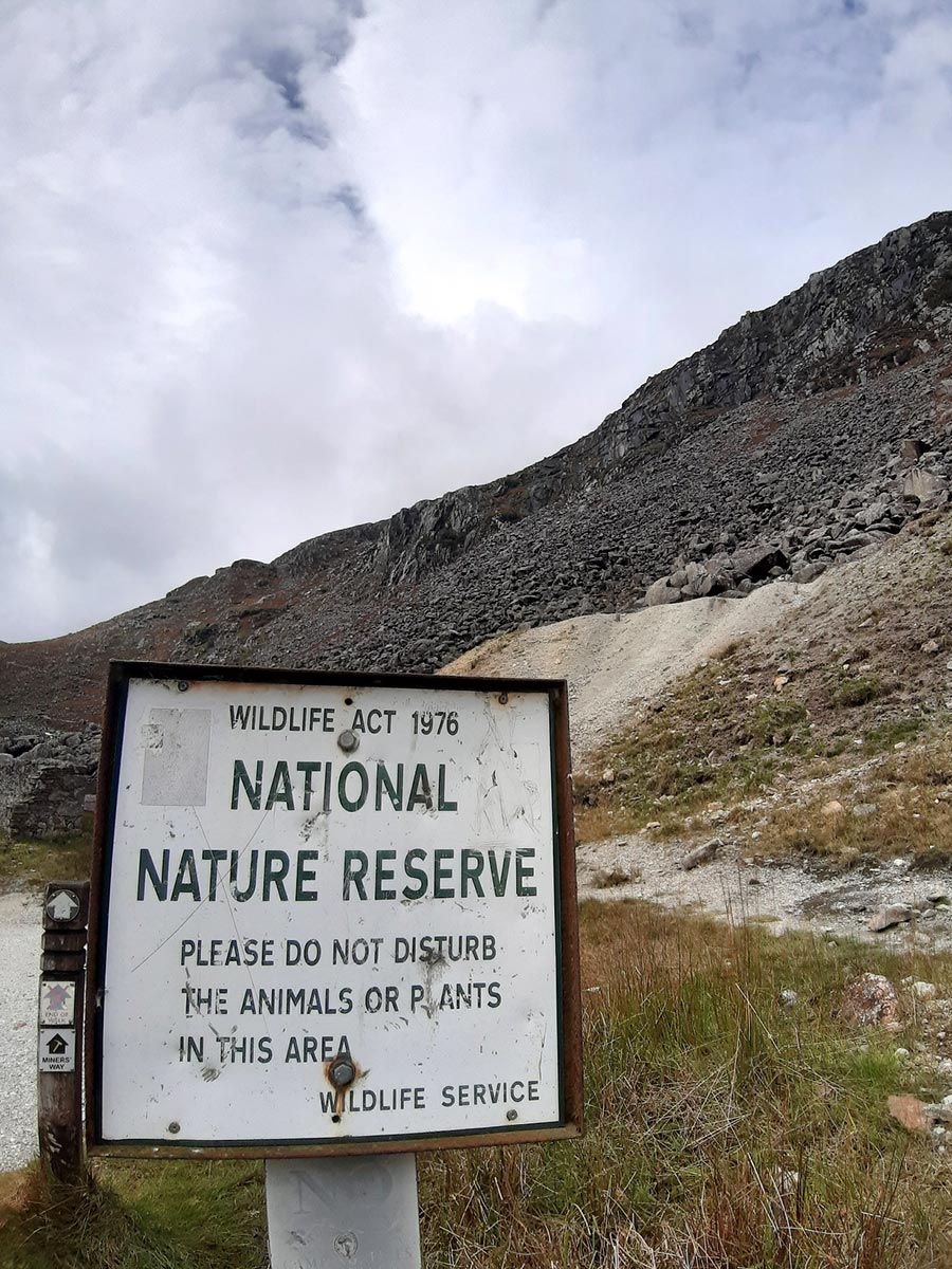 Irland 2023: Wicklow Mountains: Glendelough (Ina Ehrhardt)