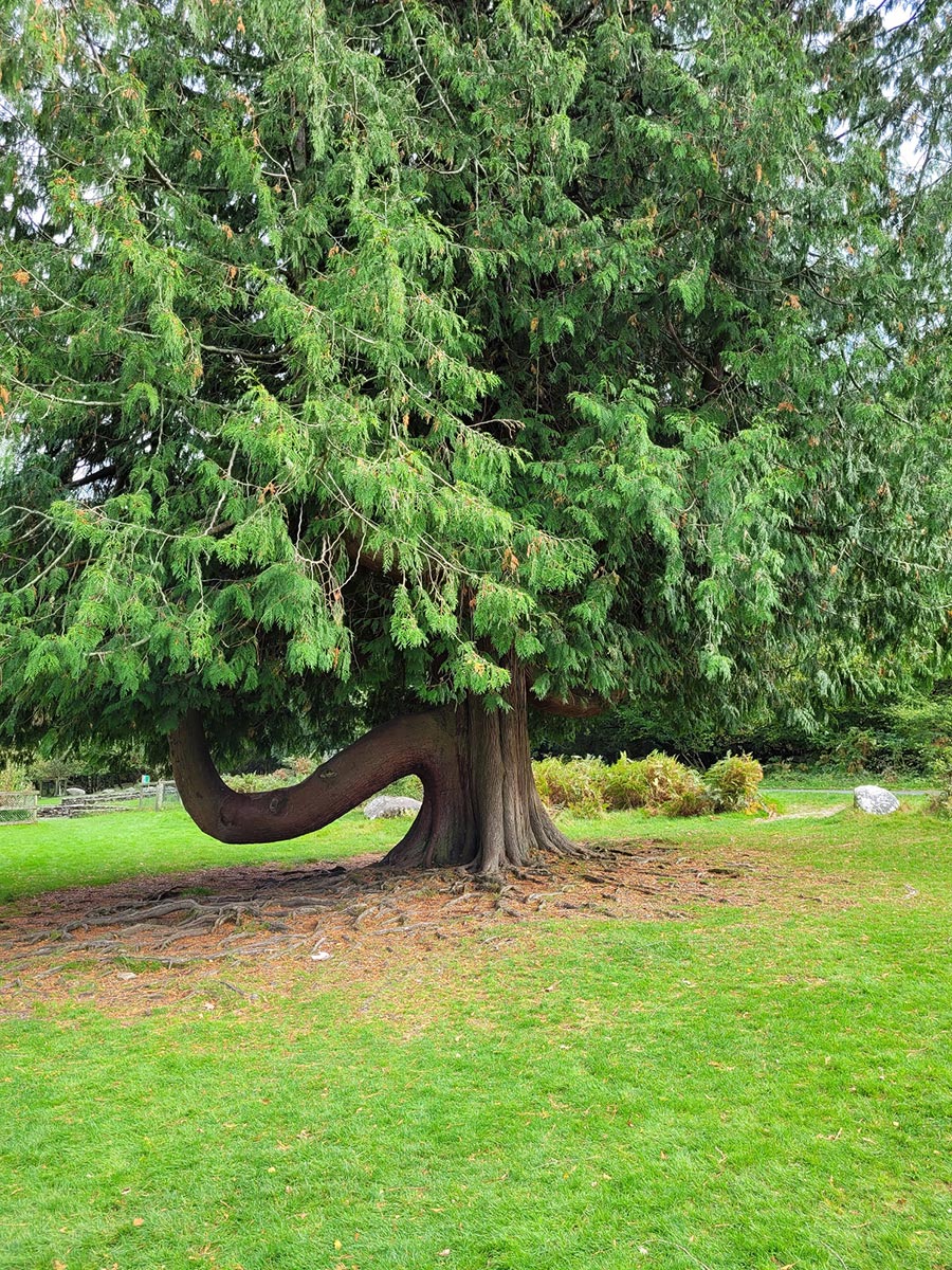 Irland 2023: Wicklow Mountains: Glendelough (Ina Ehrhardt)