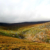Irland 2023: Wicklow Mountains: Glendelough (Ina Ehrhardt)