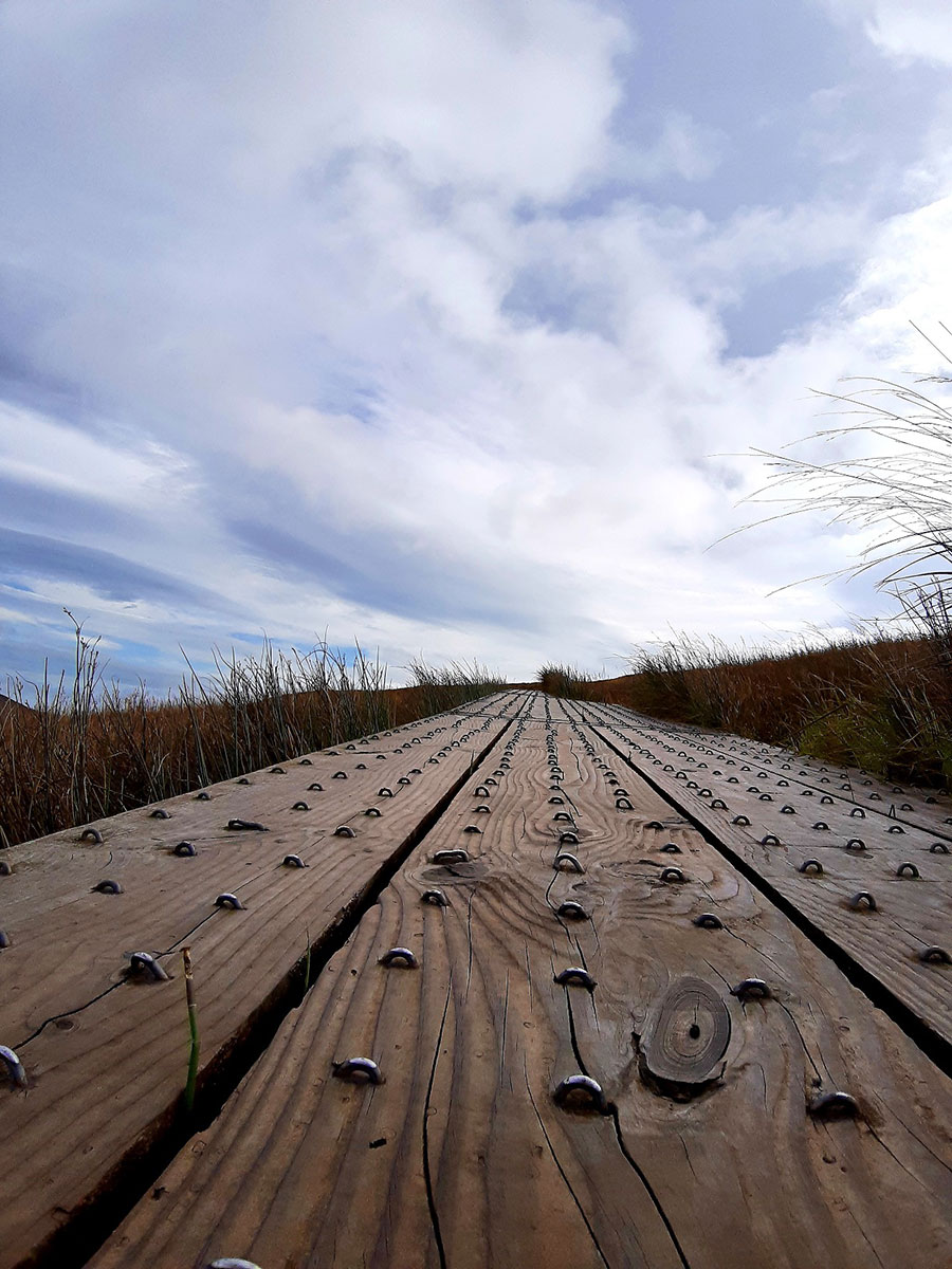 Irland 2023: Wicklow Mountains: Glendelough (Ina Ehrhardt)
