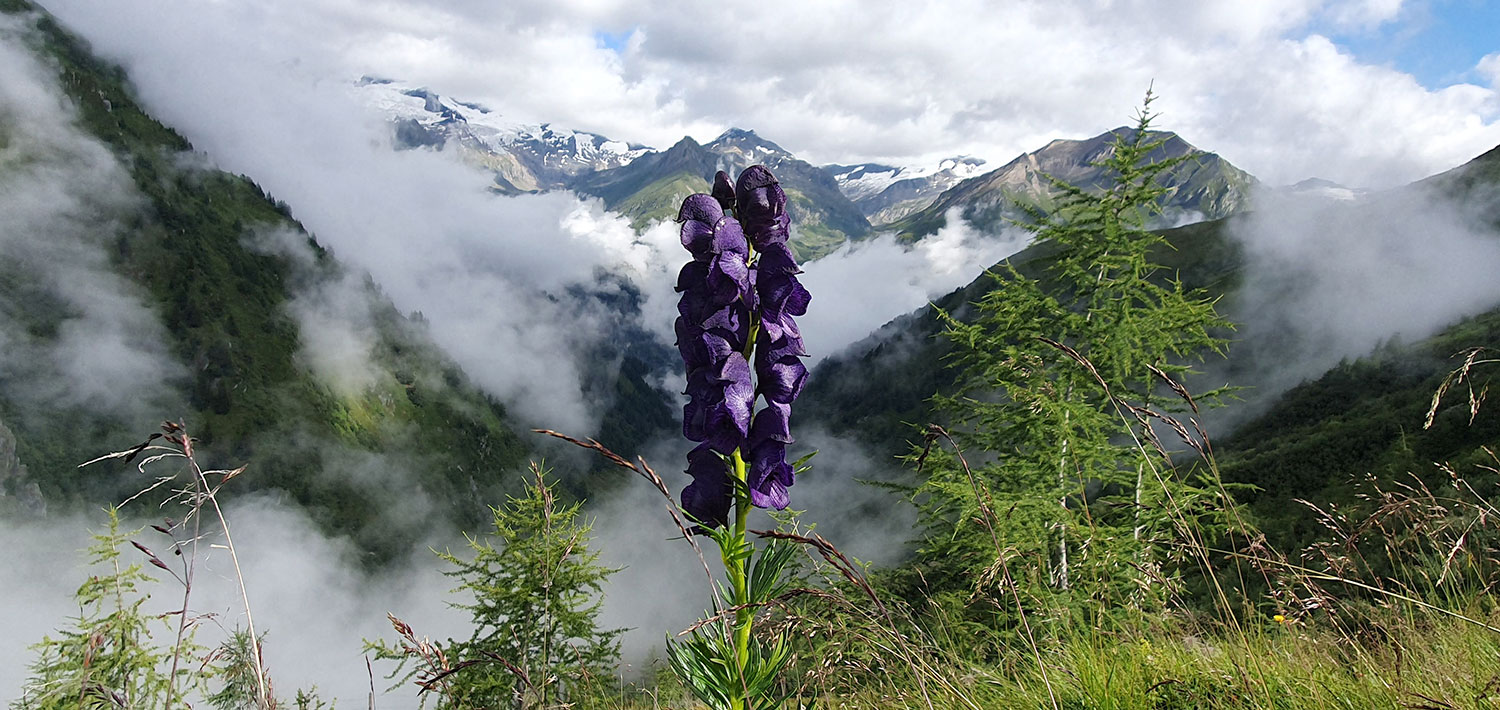 Lasörling-Höhenweg 2023 (Sandy Künster)