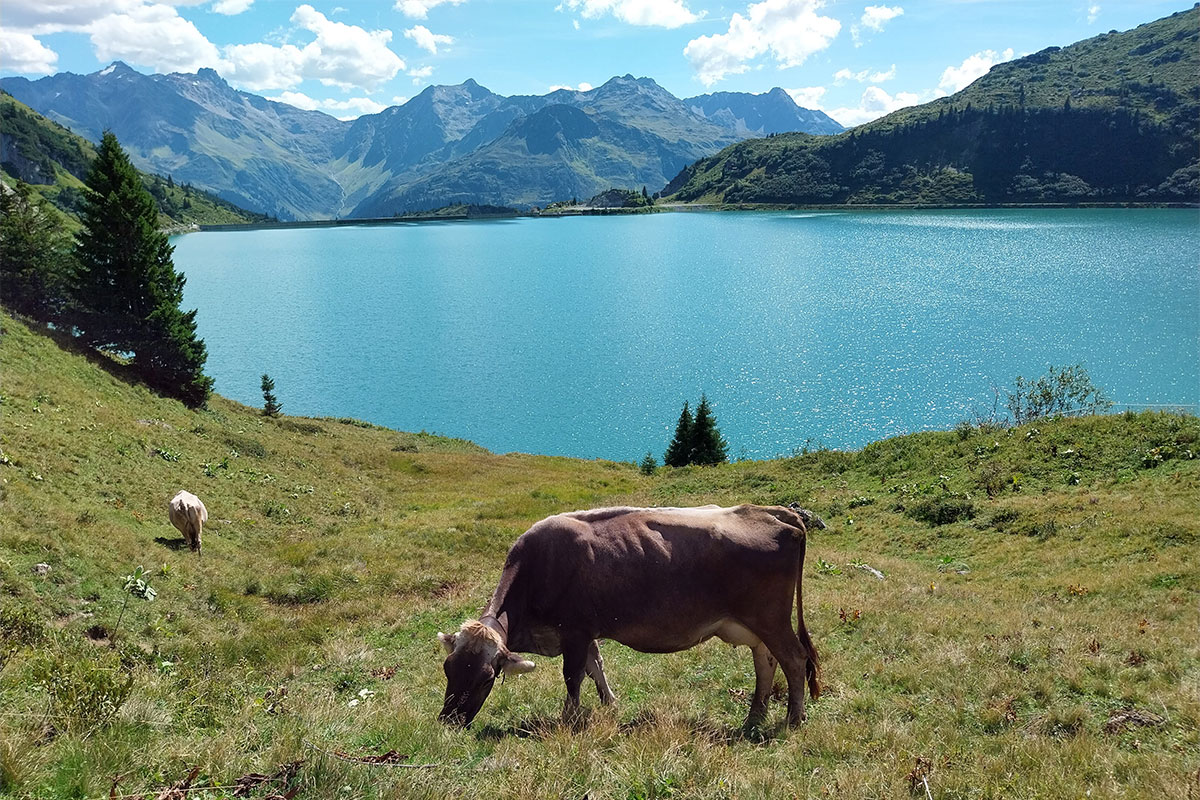 Frauentour Lechquellengebirge 2023 (Beate Bähr)