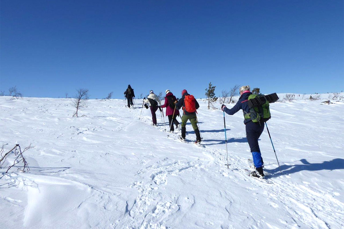 Mittelschweden: Idre 2023 (Andrea Schmidt)