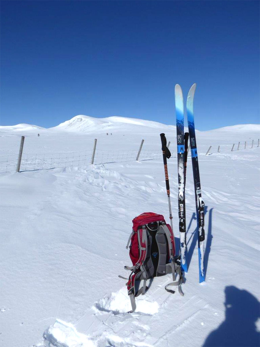 Mittelschweden: Idre 2023 (Andrea Schmidt)