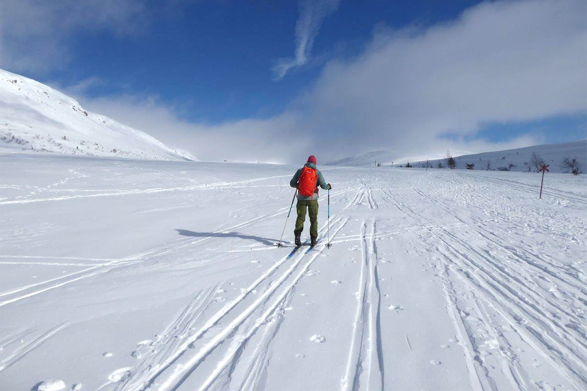 Mittelschweden: Idre 2023 (Andrea Schmidt)