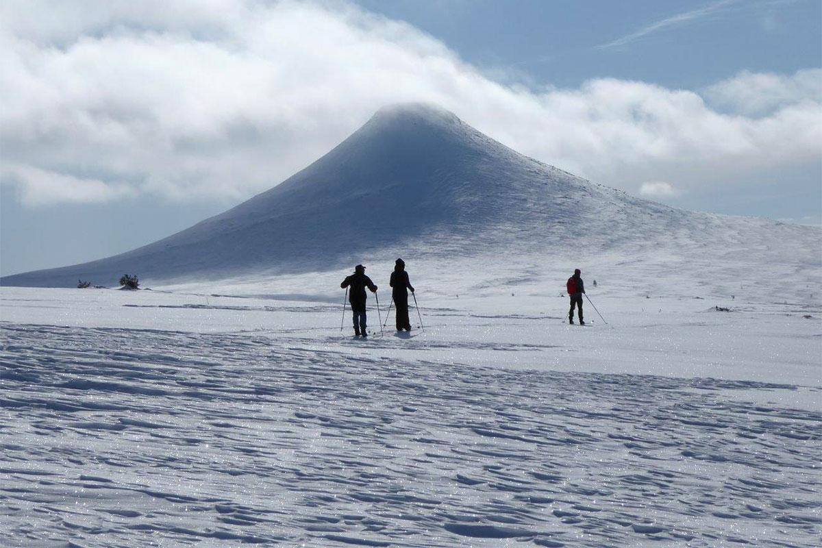 Mittelschweden: Idre 2023 (Andrea Schmidt)