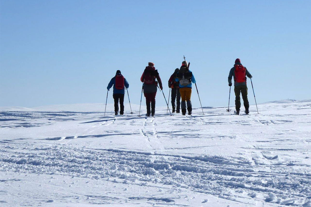 Mittelschweden: Idre 2023 (Andrea Schmidt)