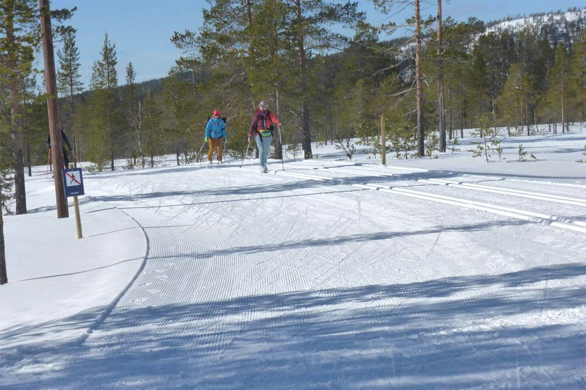 Mittelschweden: Idre 2023 (Andrea Schmidt)