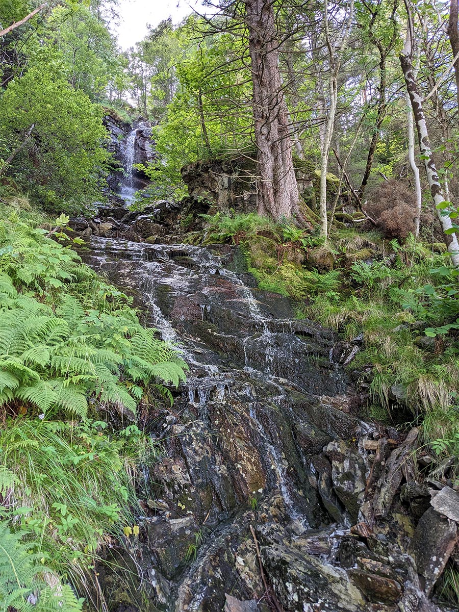 Norwegen 2023: Veten (Silvana Malter)