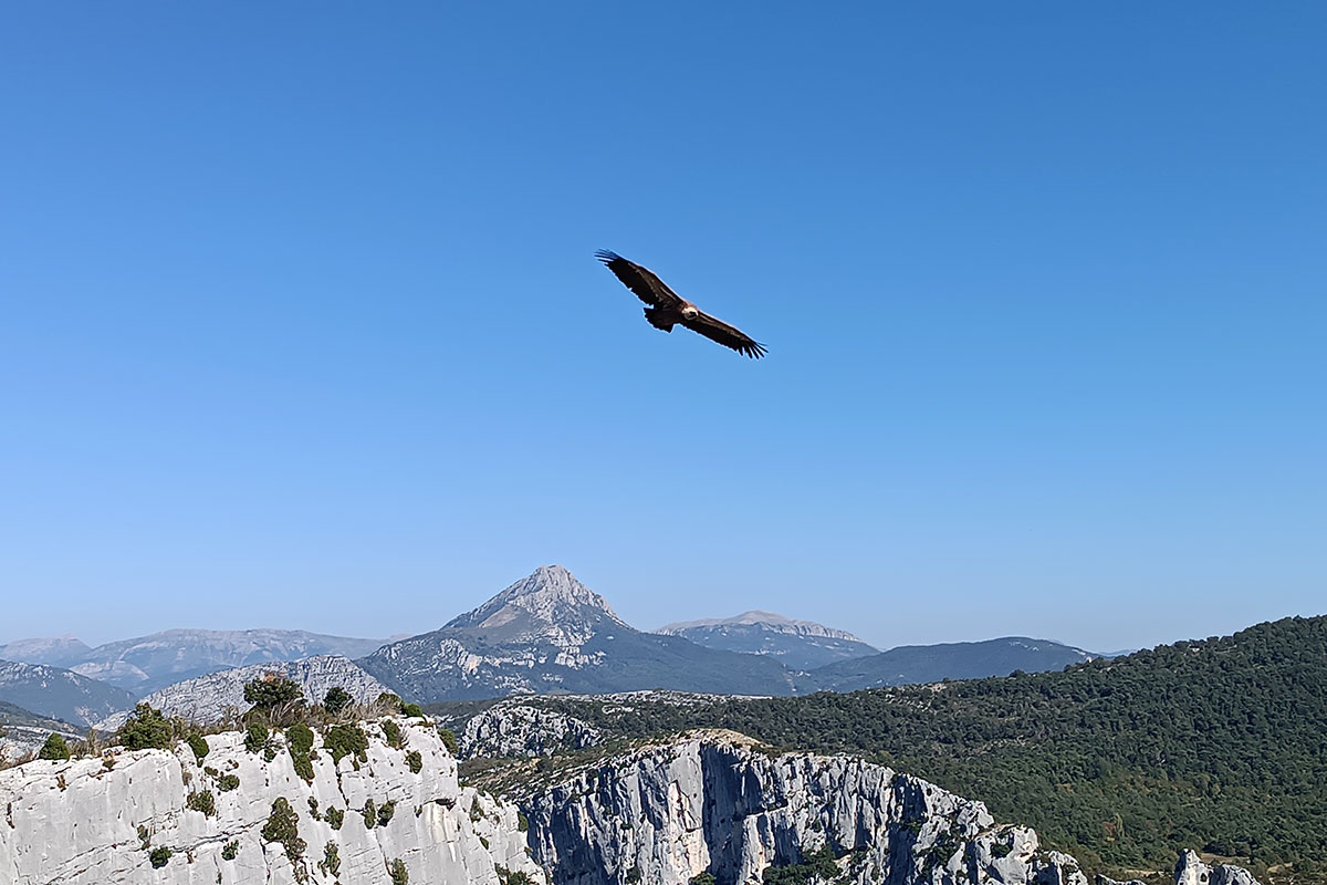 Provence 2023: Gorges du Vernon (Ute + Thomas Wall)
