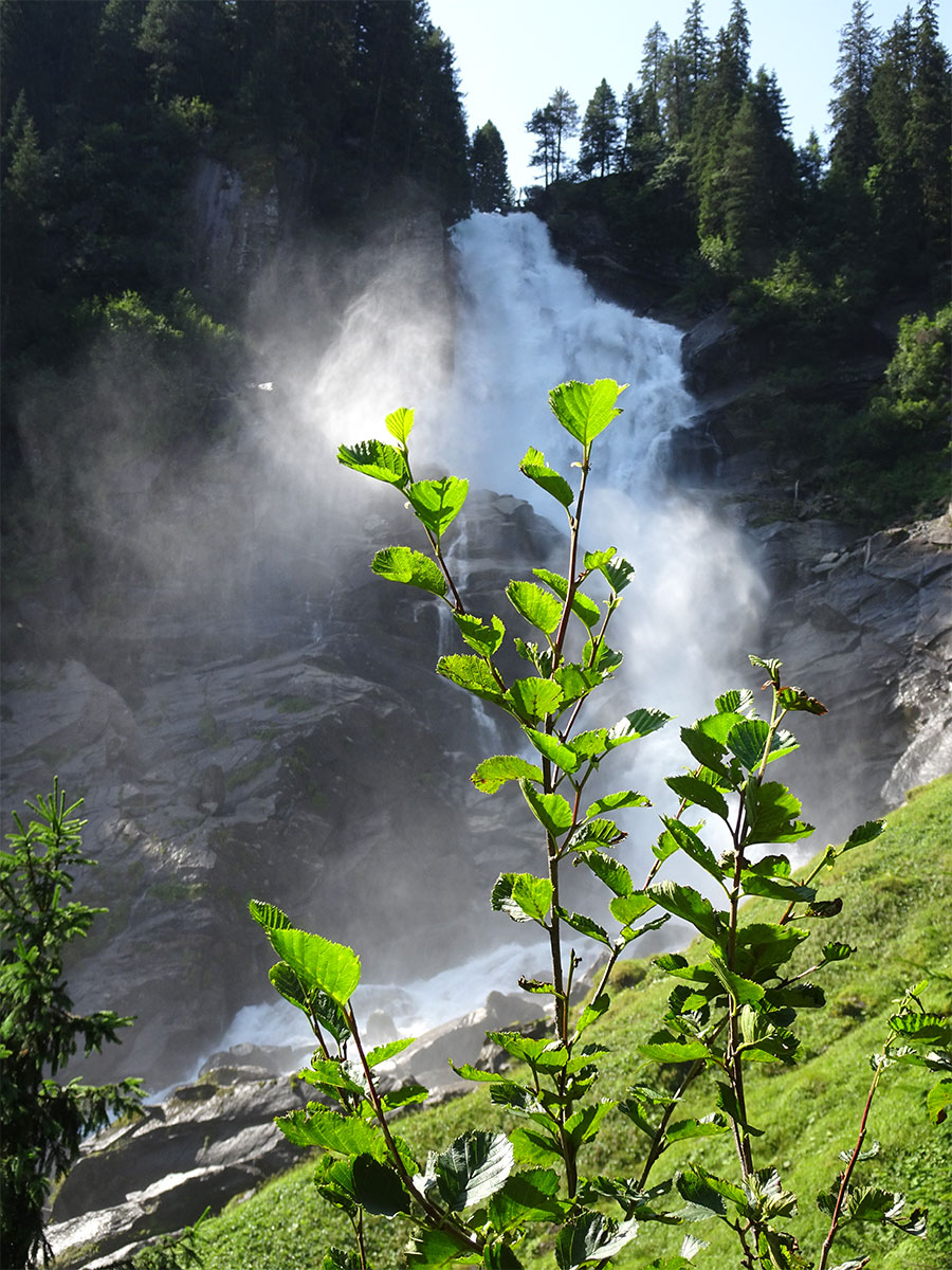 Venedigergruppe 2023 (Manuela Zobolski)