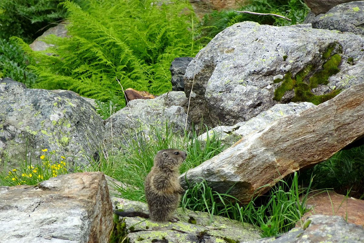 Venedigergruppe 2023 (Manuela Zobolski)