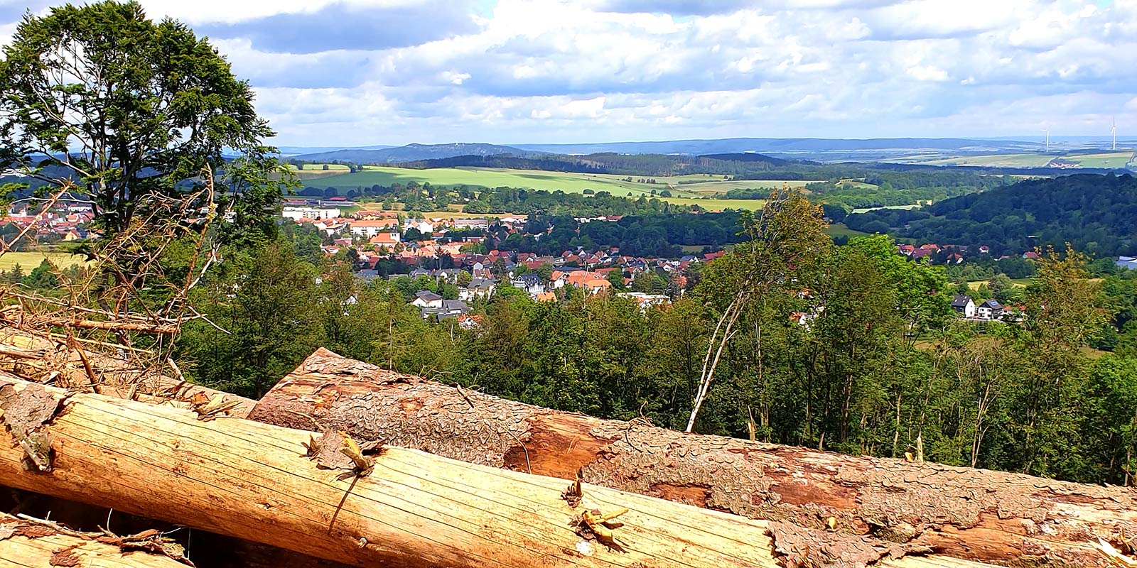Bad Tabarzer Gipfel- und Aussichtstour (Foto: Sigrid Beck, 2024)