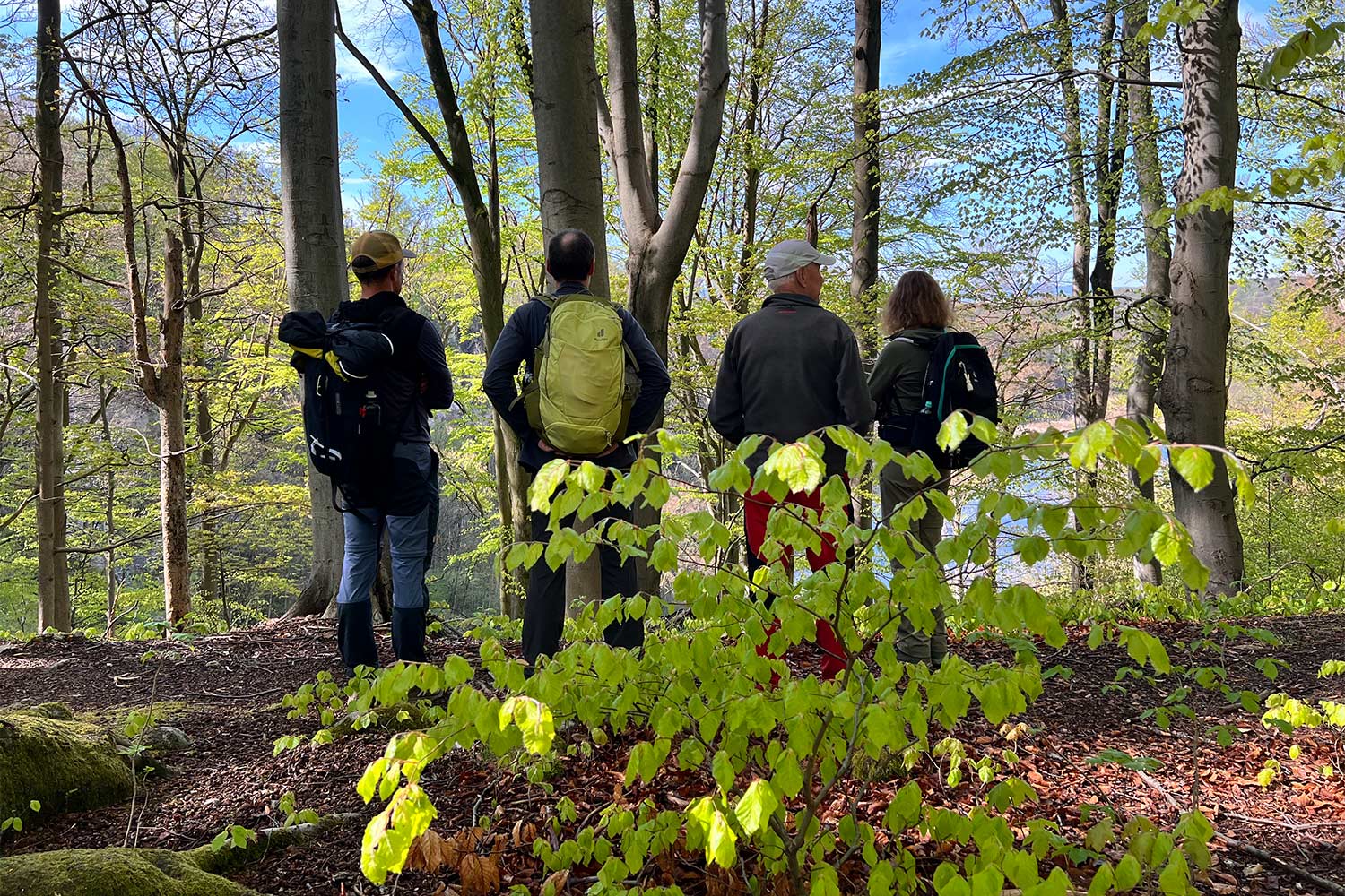 Osterwanderung 2025 am Grünen Band bei Walkenried (Foto: Manuela Hahnebbach)