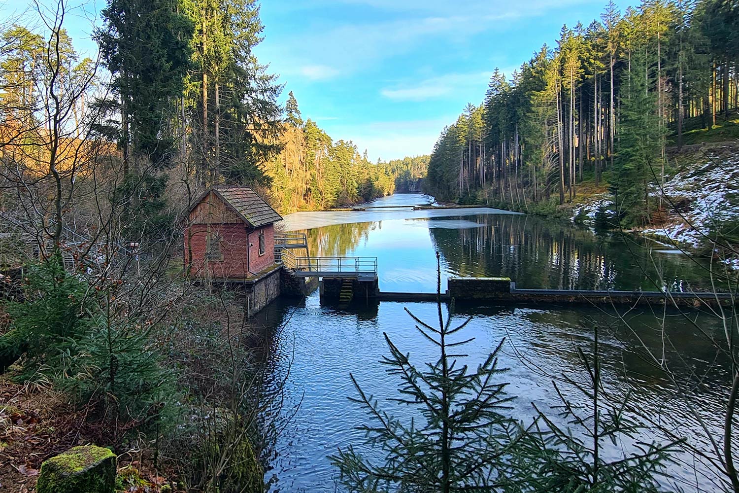 2026: Rundwanderung Alte Tambacher Talsperre (Sigrid Beck)
