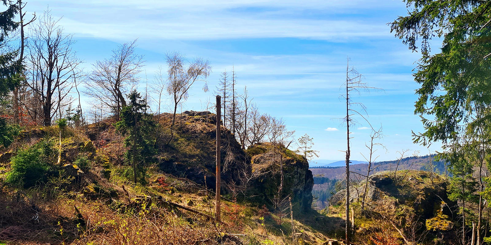 Heinrichsbacher Stein am Drei-Felsen-Pfad bei Zella-Mehlis, Thüringer Wald (Foto: Sigrid Beck, 2026)