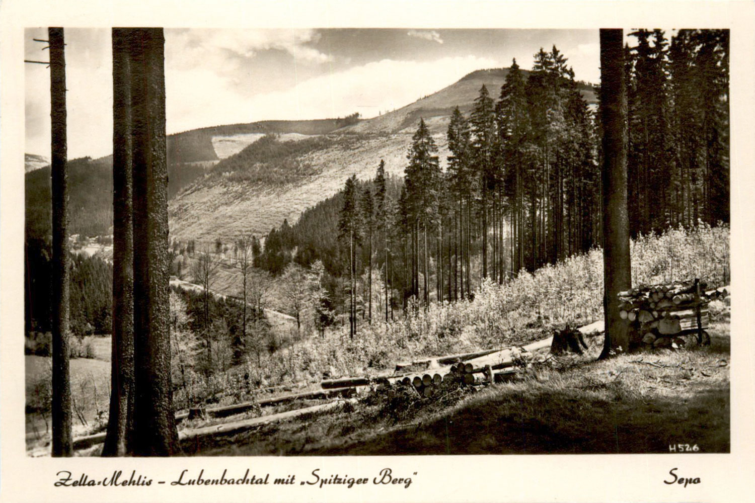 Zella-Mehlis: Lubenbachtal mit "Spitziger Berg" (Ansichtskarte, 1960er Jahre)