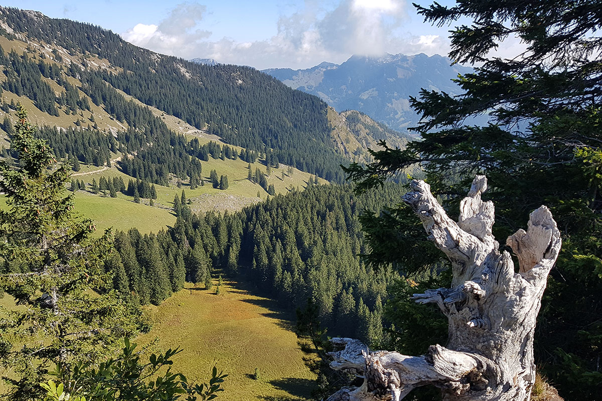 2021 Rund um den Spitzing-See: Am Taubensteinhaus (Foto: Beate Bähr)